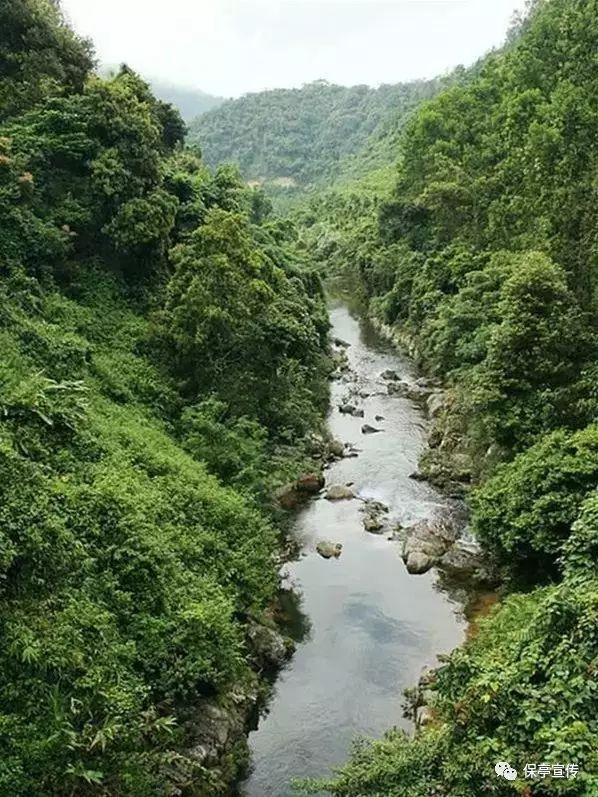 38岁江疏影生图太惊艳！坐豪车老板位御姐范十足，气质高贵很养眼